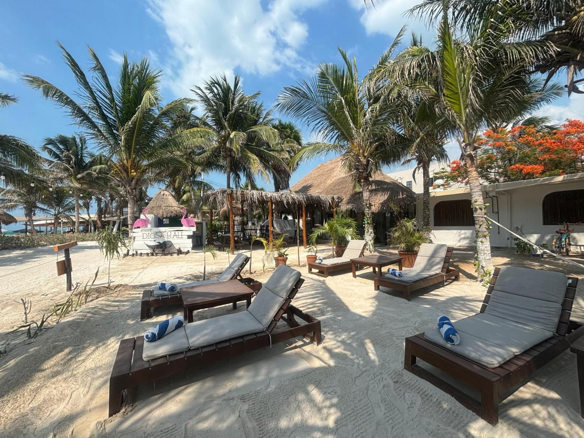 La Diosa Kali Beach Front Hotel Isla Holbox Ngoại thất bức ảnh