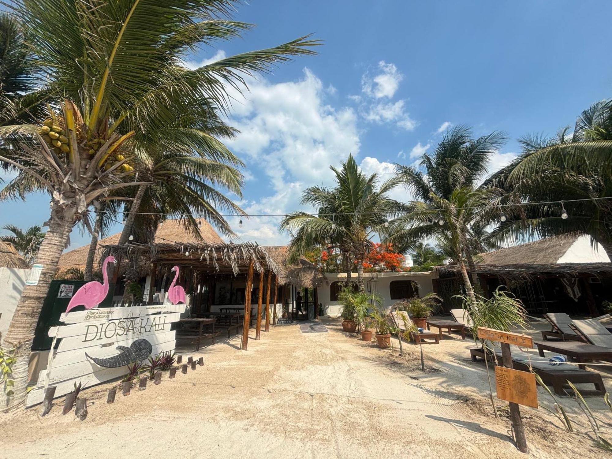 La Diosa Kali Beach Front Hotel Isla Holbox Ngoại thất bức ảnh