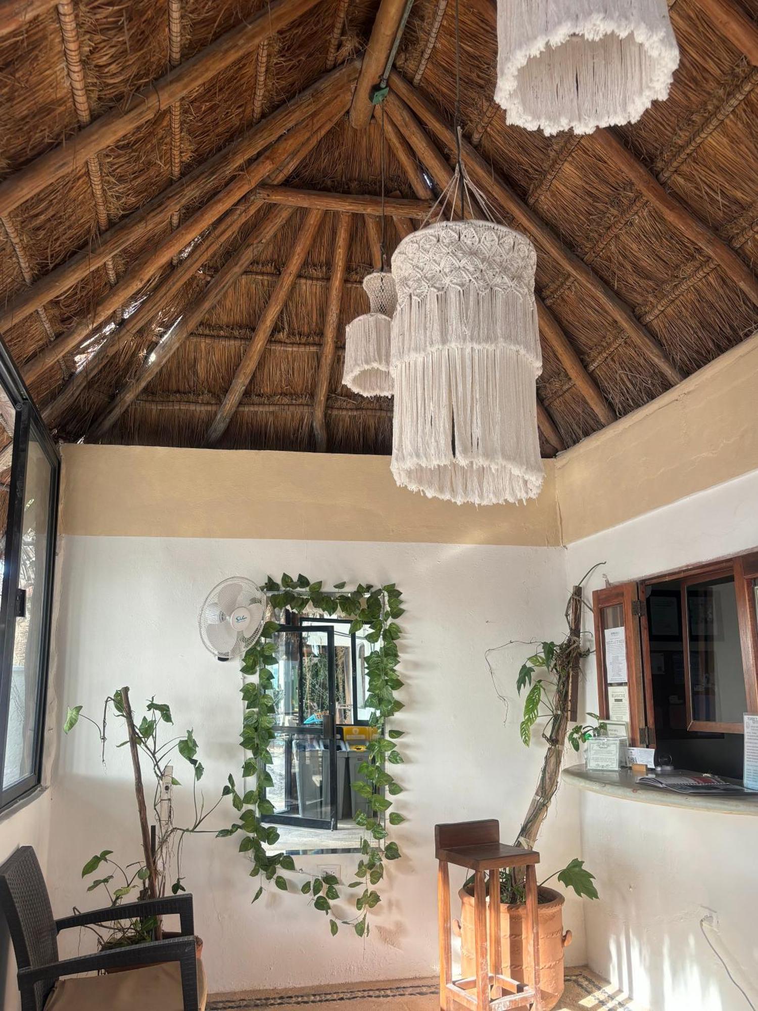 La Diosa Kali Beach Front Hotel Isla Holbox Ngoại thất bức ảnh